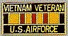 Pin AFVietnam Vet